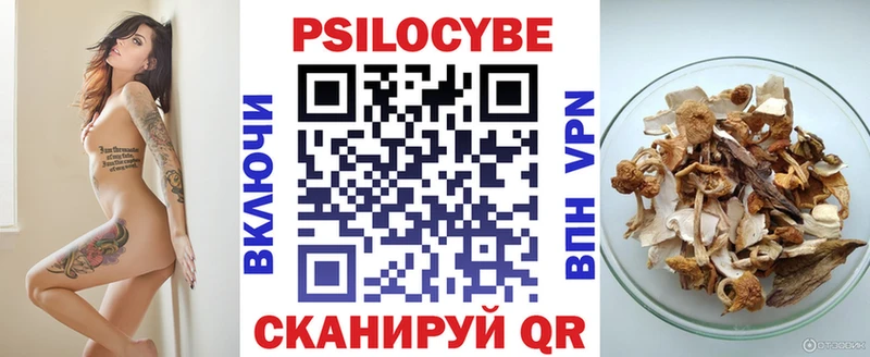 Галлюциногенные грибы мицелий  закладка  Грайворон 