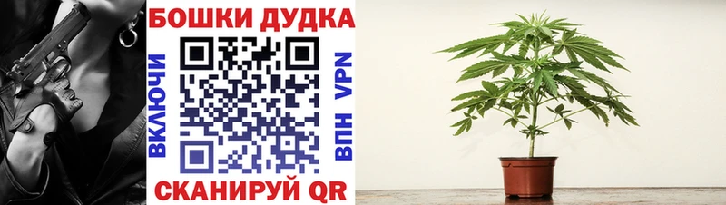 дарк нет наркотические препараты Грайворон Бошки марихуана OG Kush где найти наркотики
